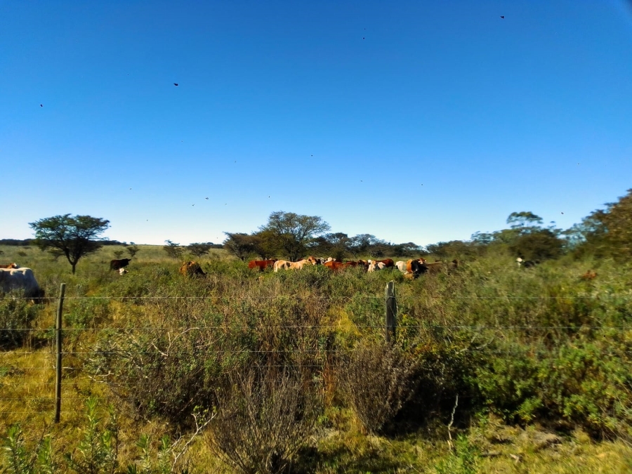 0 Bedroom Property for Sale in Stutterheim Rural Eastern Cape